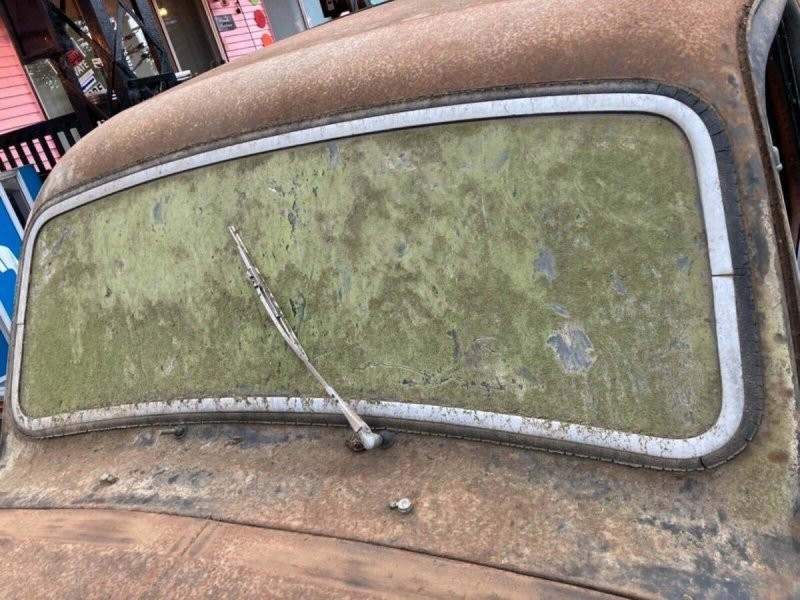 Ржавчина, плесень и мох: в США обнаружен Austin A40 Devon 1950 года