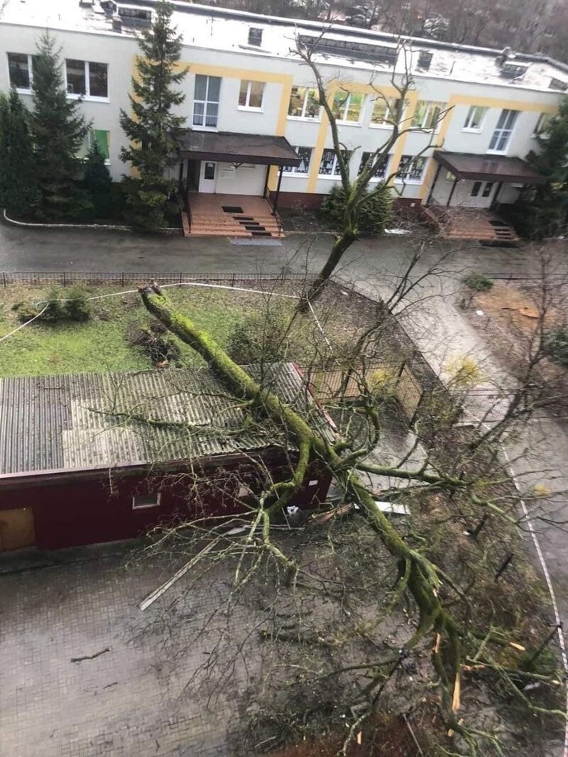 Калининград накрыло циклоном «Эльза»