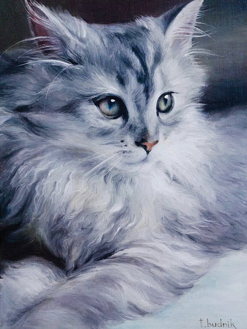 Серый кот живопись