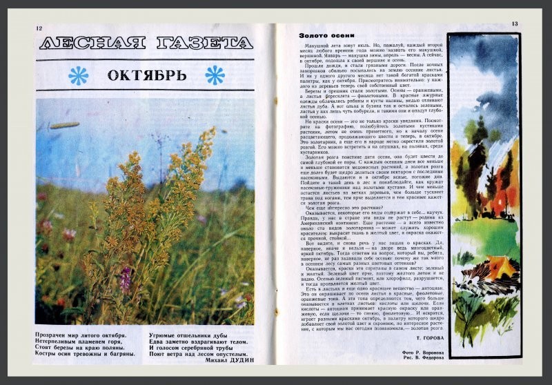 Рубрика: журналы СССР. Журнал - "Юный натуралист".  10 номер 1982 года