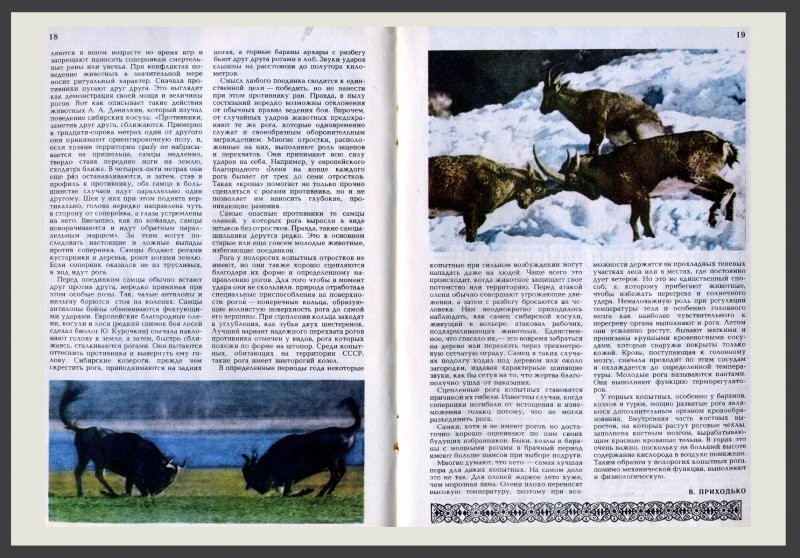 Рубрика: журналы СССР. Журнал - "Юный натуралист".  10 номер 1982 года