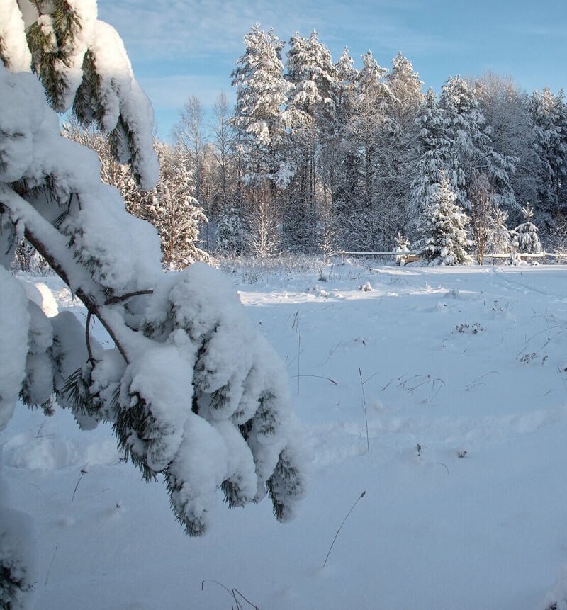 Зимняя сказка. Красота природы русской