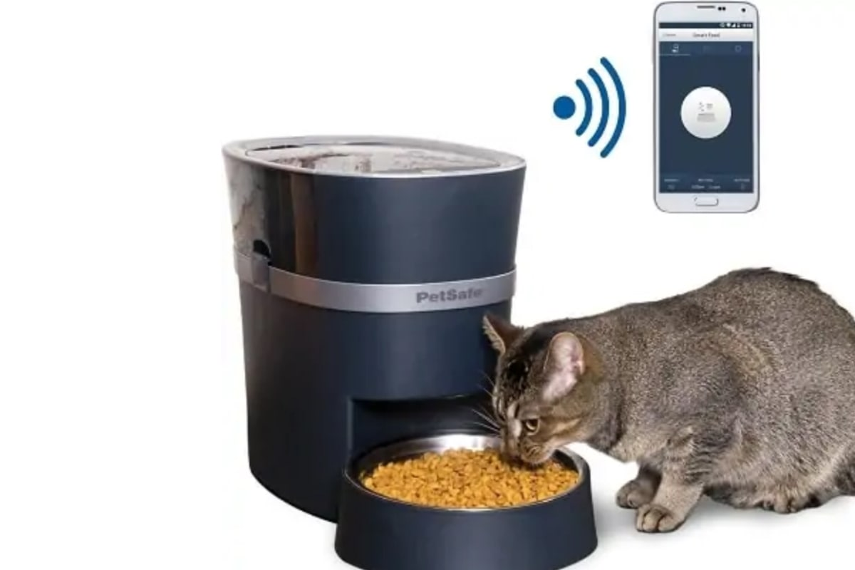 Безопасен для кошек. Petsafe Smart Feed Automatic Dog and Cat Feeder, smartphone. Petsafe автокормушка инструкция. Smart Feed. Кошки фото.