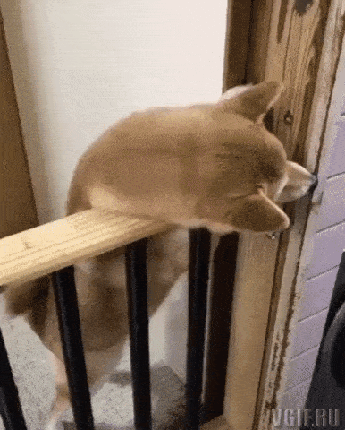 Просто гифки, всякие и разные