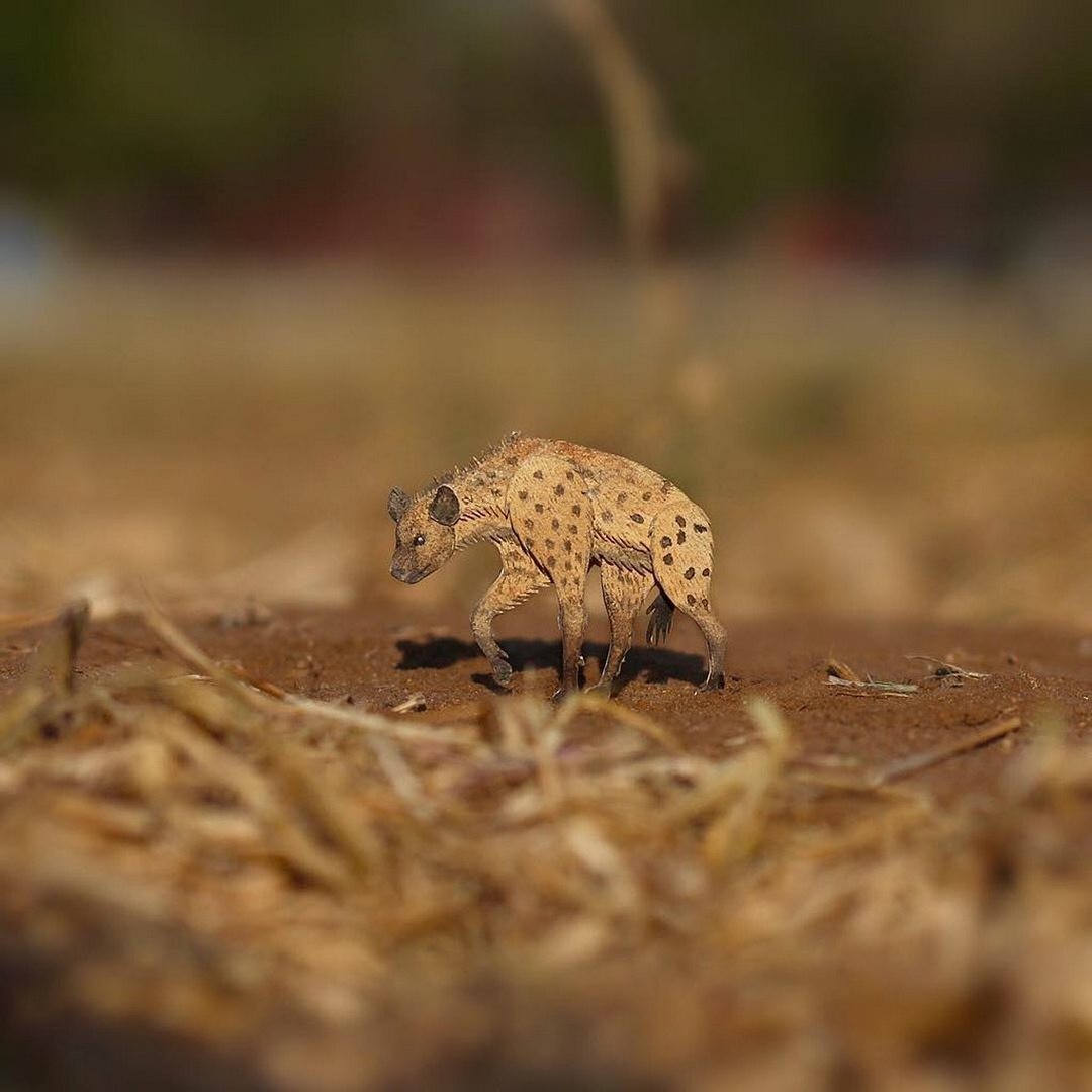 Копии животных. Фото животных в природе в высоком качестве. Mini World create животные.