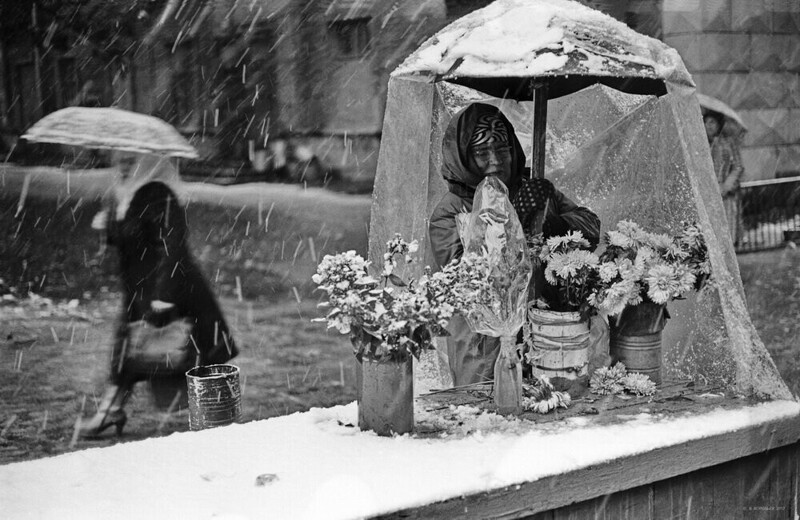 Астры под снегом. Владимир Воробьев, 1983 год, г. Новокузнецк