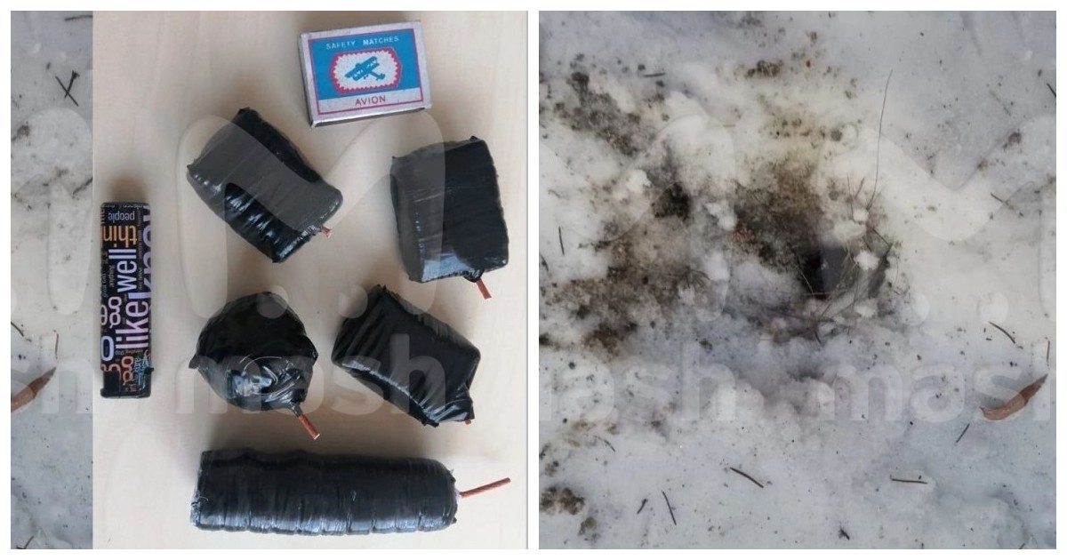 В Челябинской области подросток бросил самодельную бомбу под окна директора