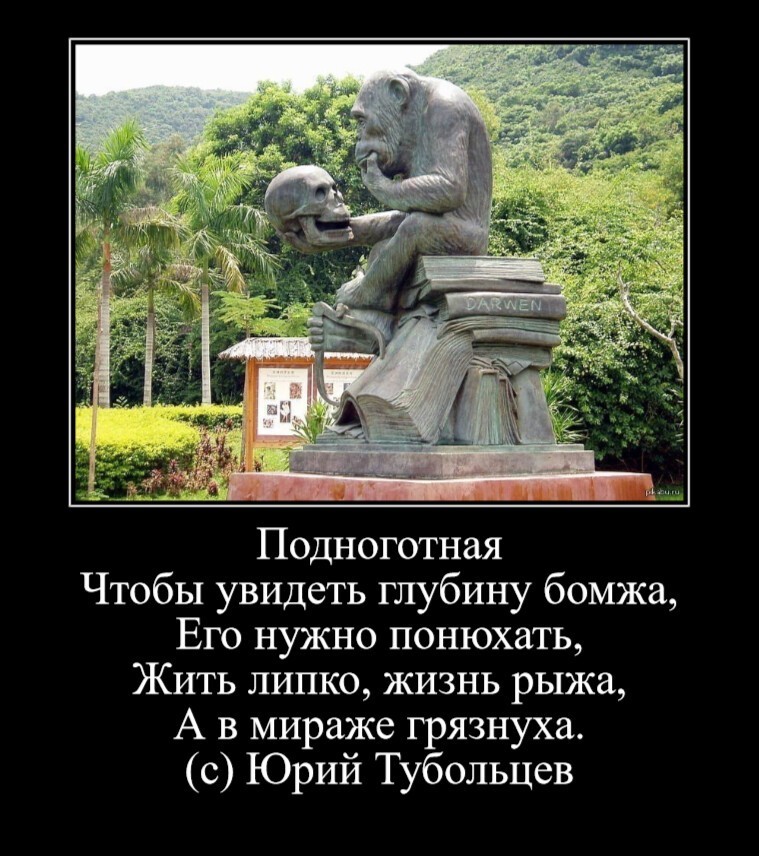 Зеркало абсурда