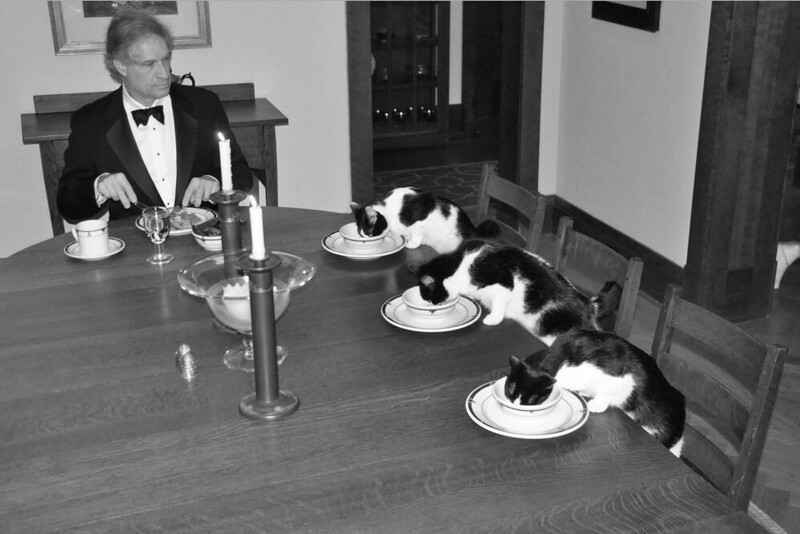 "Когда жена уезжает из дома, мне становится скучно, и я устраиваю ужин и фотосессию с котами"