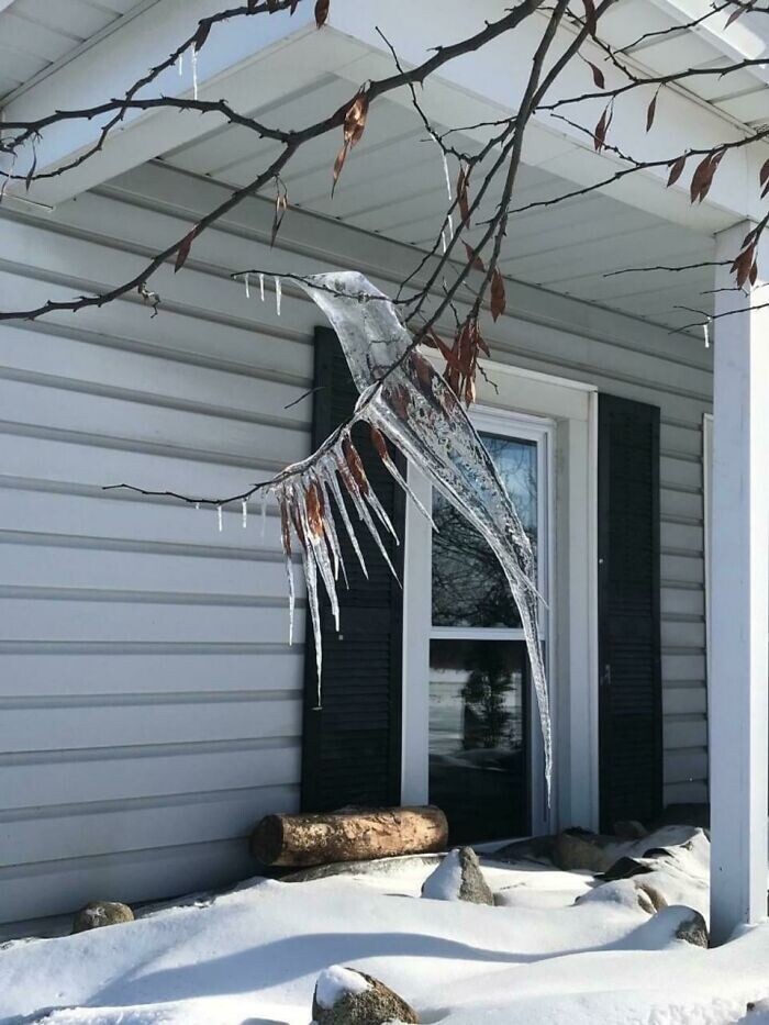 Мороз изваял ледяную колибри
