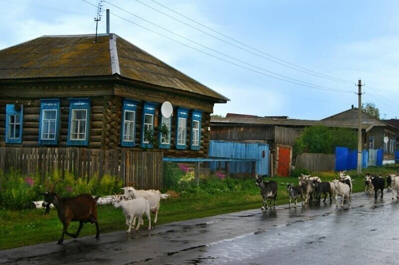 Ностальгических снимки русской деревни, возвращающих в детство