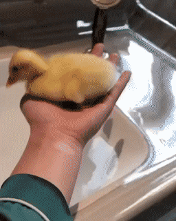 Просто гифки, всякие и разные