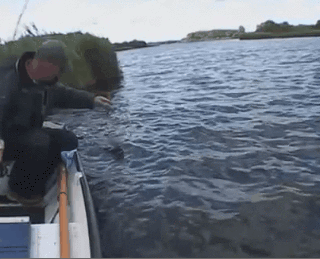 Просто гифки, всякие и разные