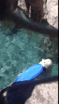 Просто гифки, всякие и разные