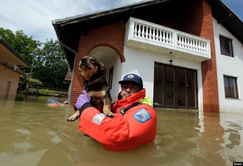 Словенский спасатель гражданской защиты спасает собаку во время сильного наводнения