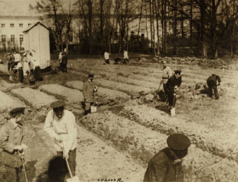 Семья Романовых работает в саду во время ареста в Царском селе