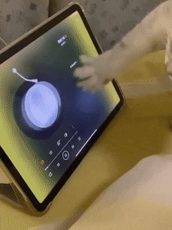 Кошачьи гифки