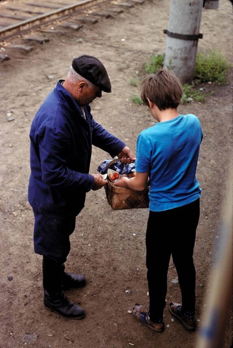 Мужчина продает клубнику на станции .