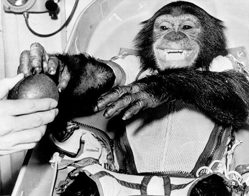 История Хэма - первого шимпанзе в космосе
