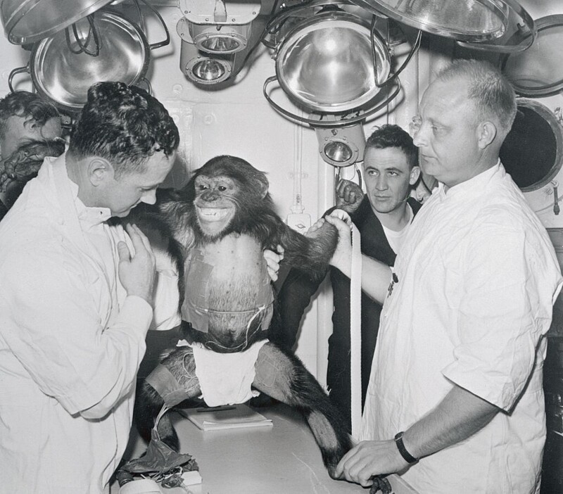История Хэма - первого шимпанзе в космосе