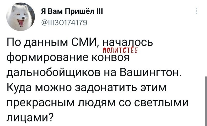 О политике и не только