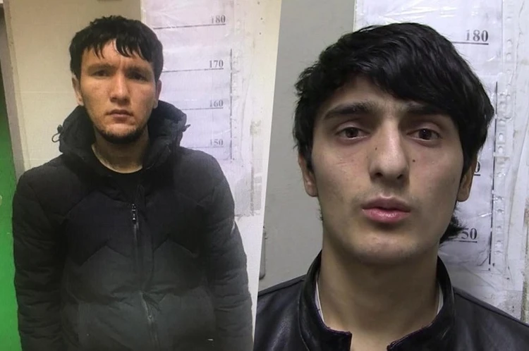 В Екатеринбурге задержали двух мигрантов, укравших награды ветерана ВОВ