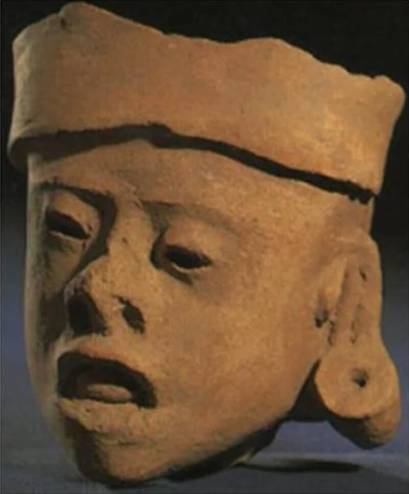 13. Фрагмент головы статуи тольтеков, изображающей человека с синдромом Дауна. (500 г.  н.э.)