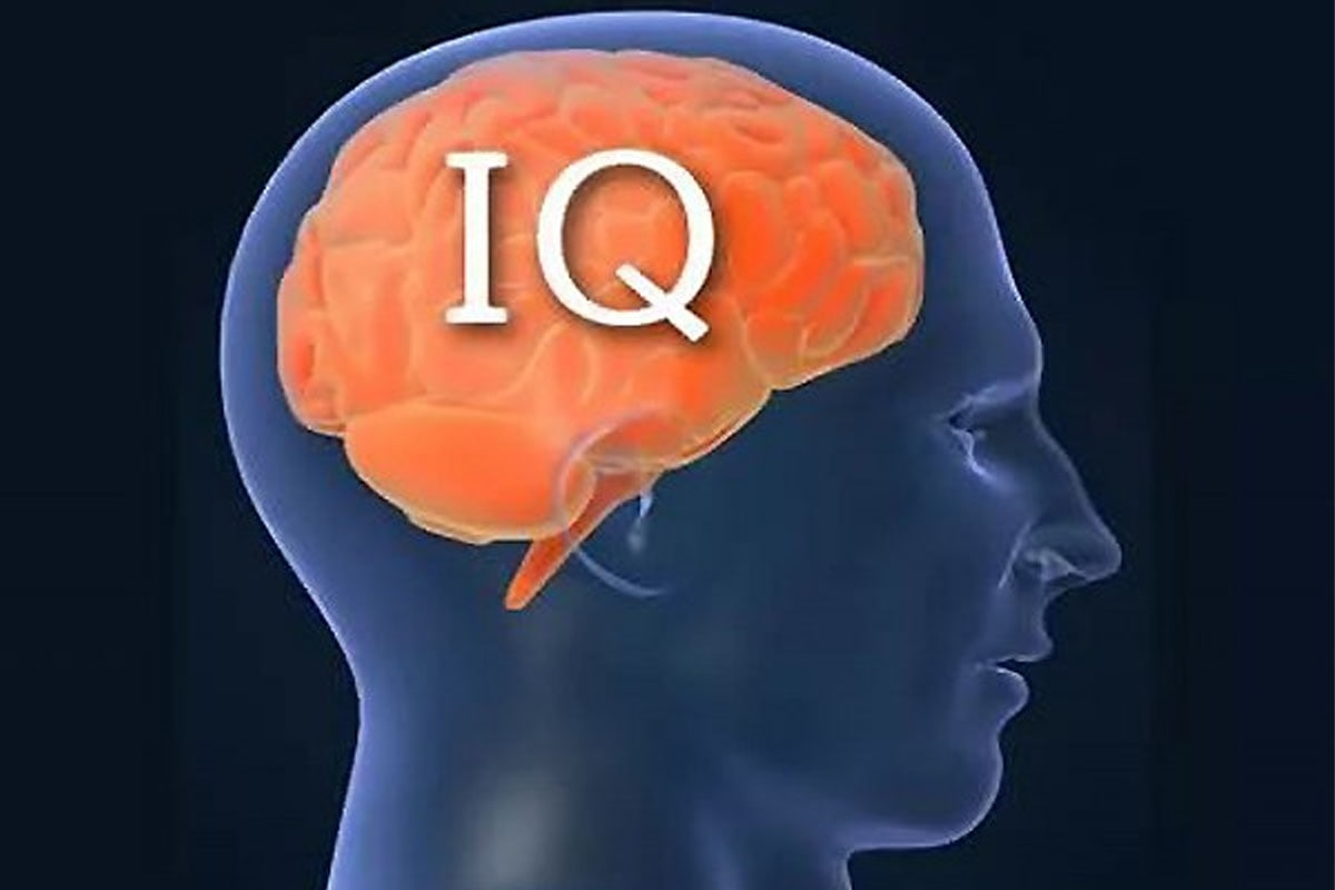 IQ. IQ человека. Высокий IQ. IQ высокий интеллект.
