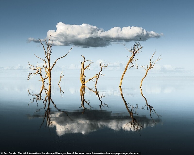 Озеро Бонни Риверленд на юге Австралии. Фотограф Ben Goode