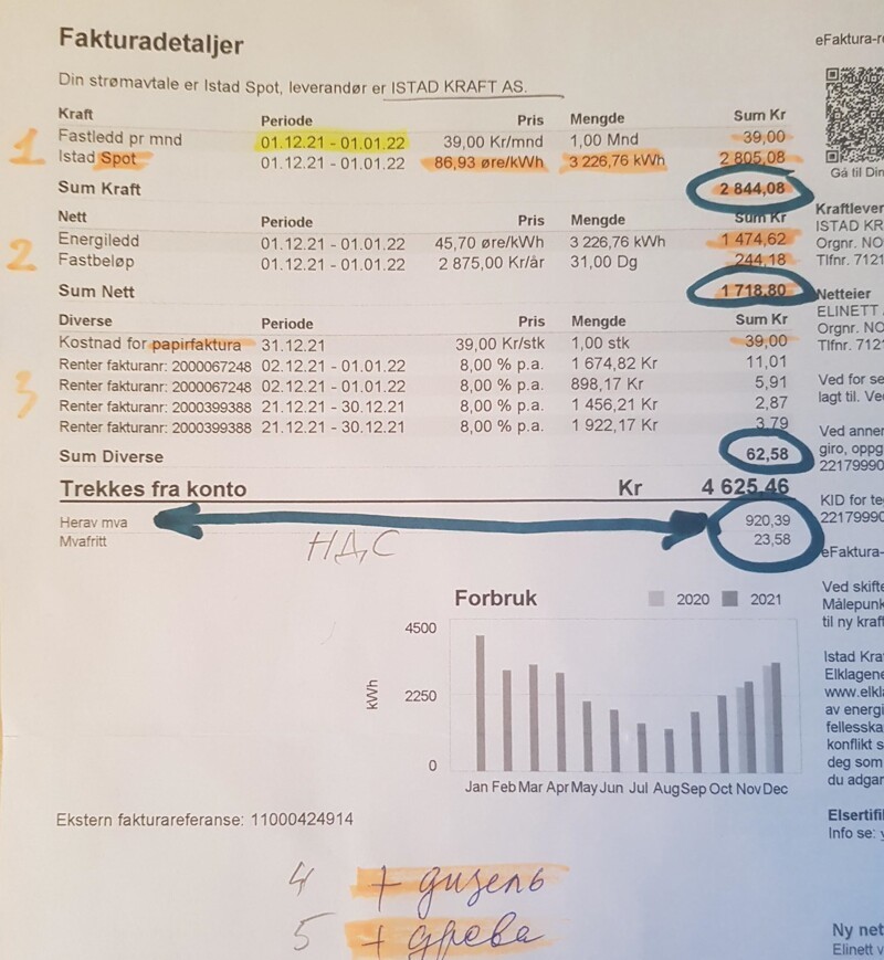 По всей Норвегии демонстрации против высоких цен на электричество