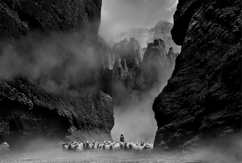 "Пастух среди скал", каньон Лонгван, Ганьсу, Китай, 2017. Фотограф Zhao Jinli