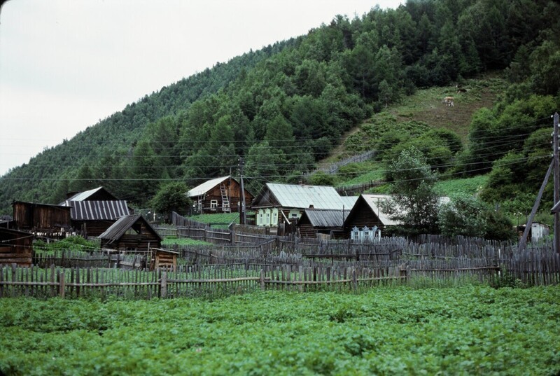 Дома местных жителей в поселке Листвянка.