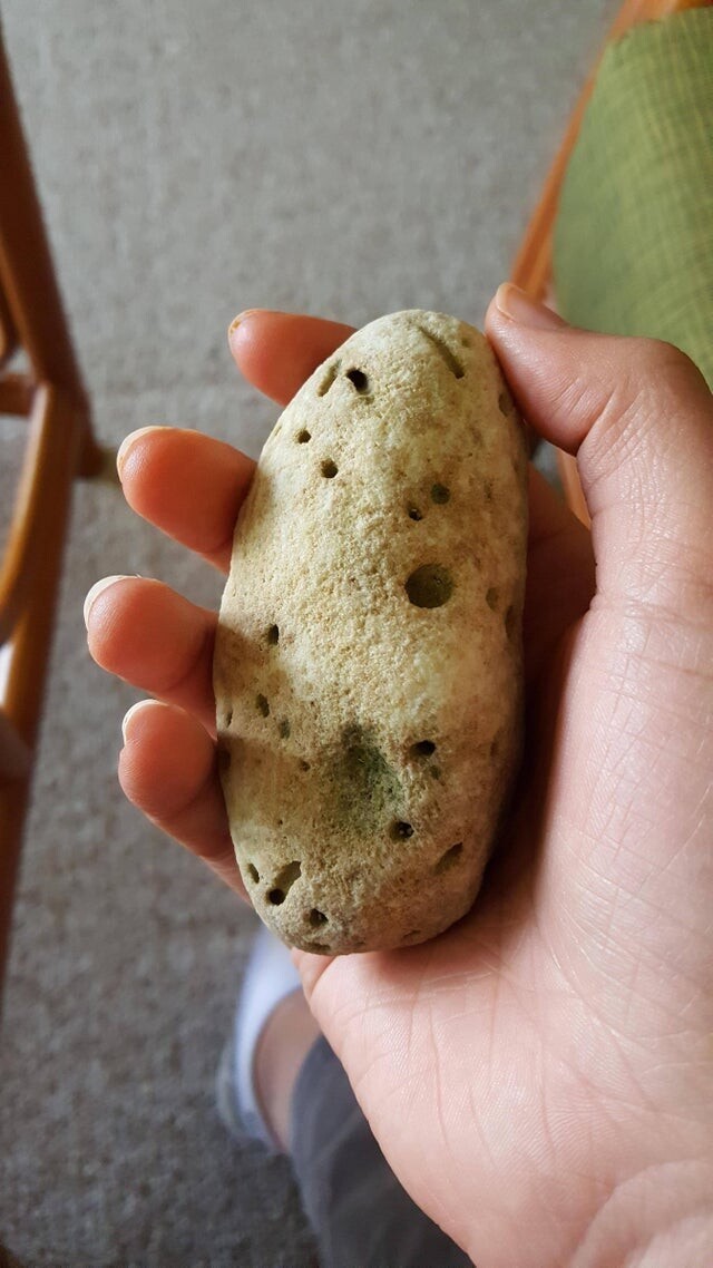 Камень замаскировался под картофель