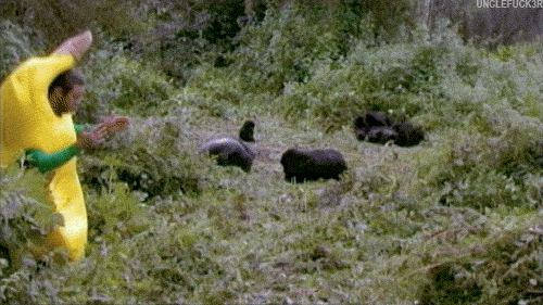 Очередные небольшие видеоролики Очередные небольшие видеоролики