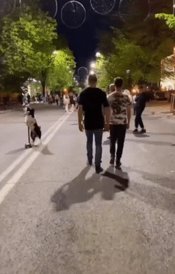 Очередные небольшие видеоролики Очередные небольшие видеоролики