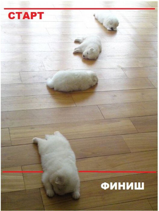 Пятничное настроение