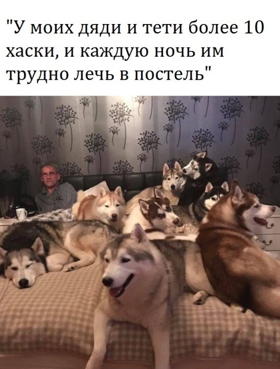 Пятничное настроение