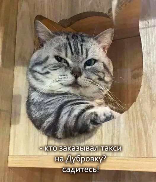 Пятничное настроение