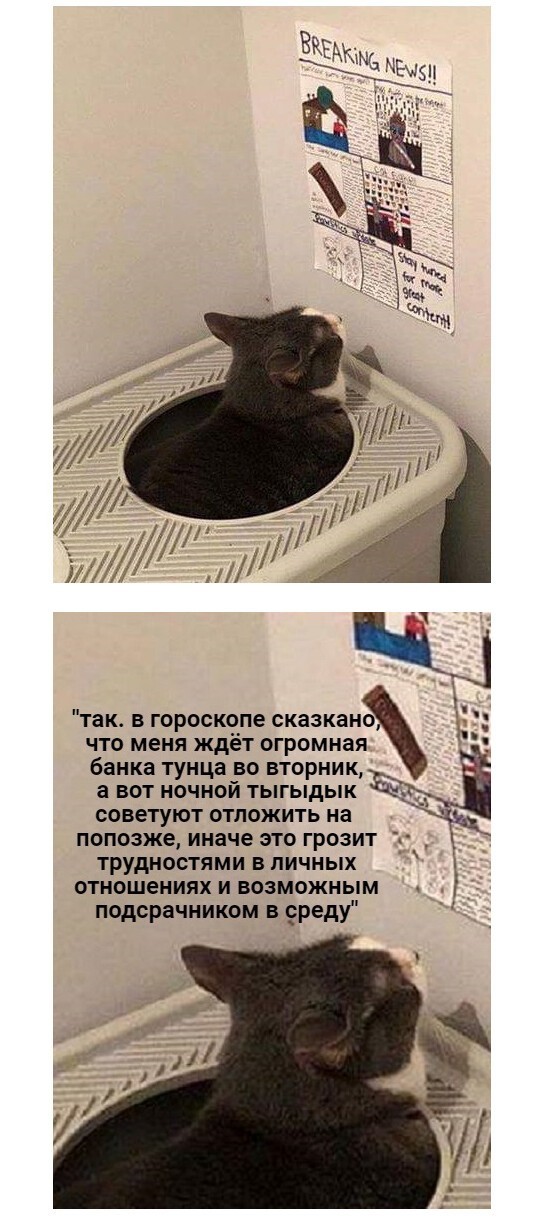 Пятничное настроение