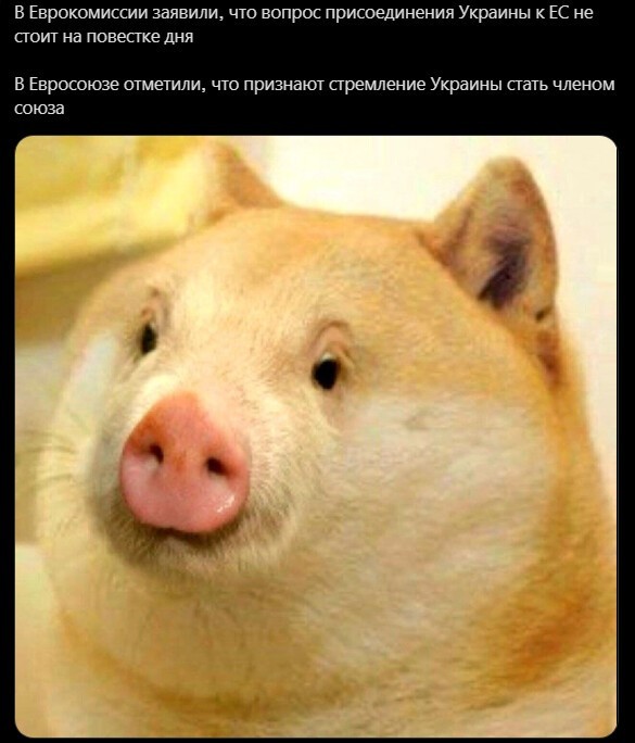 Политический новостной мониторинг событий в мире. Выпуск 78