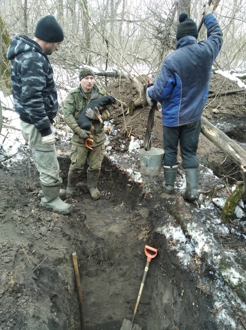 Охотник из Курской области 5 дней искал под землёй свою собаку