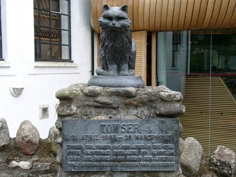 В Шотландии есть памятник кошке по кличке Таузер. За свою жизнь эта кошка истребила 30 тысяч мышей на заводских складах