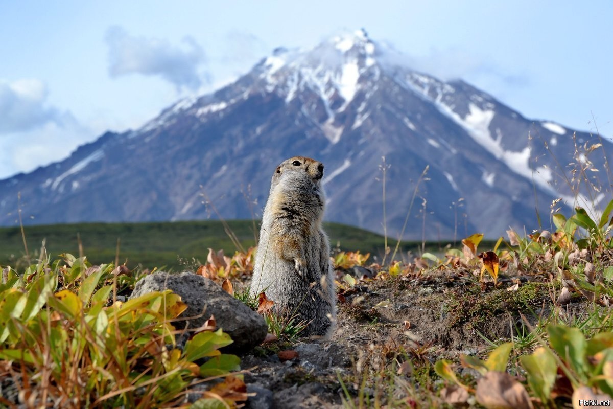 Корякский заповедник Камчатка