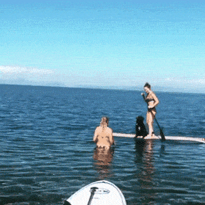 32a1cdebfaf1909e9390535e37c41988.gif