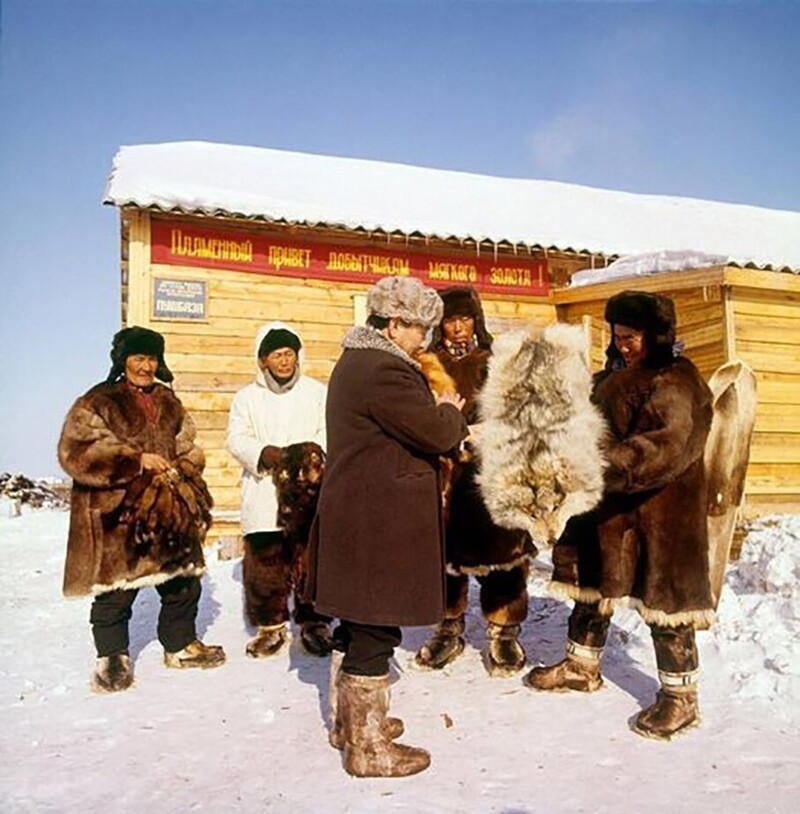 Охотники сдают пушнину. Якутская АССР, 1973 - 1975 г.