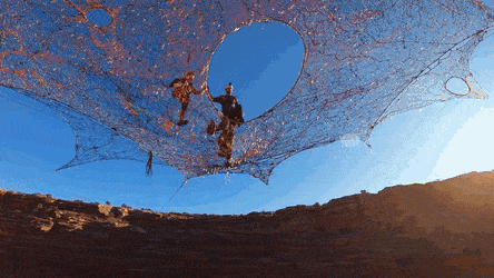 Гифки дня Гифки дня