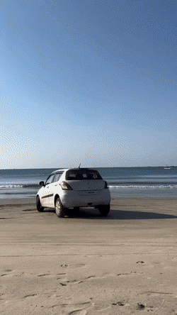 Гифки дня Гифки дня