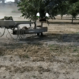 Гифки дня Гифки дня