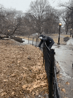 Гифки дня Гифки дня