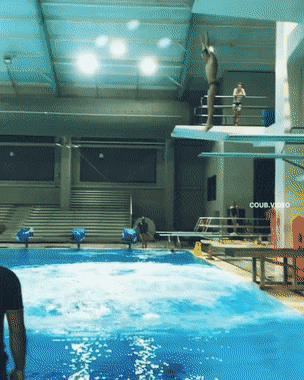 Гифки дня Гифки дня